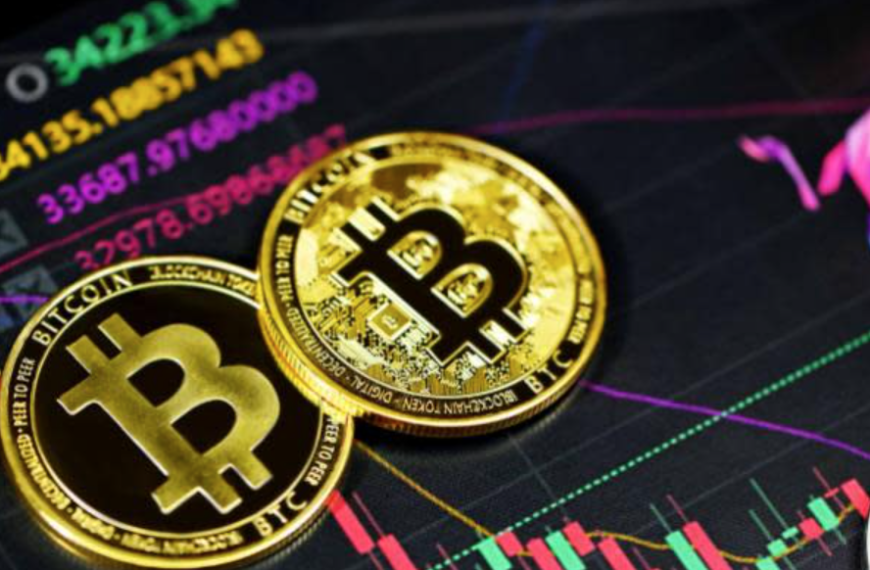 How to Build a Crypto Portfolio